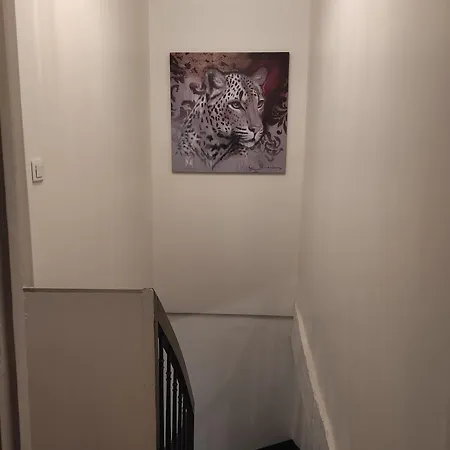 La Maison Du Bonheur Alençon Buitenkant foto